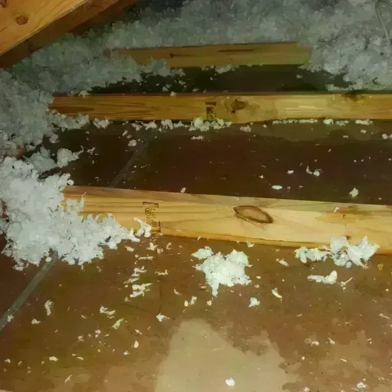 Attic Water Damage in Chenoweth, OR