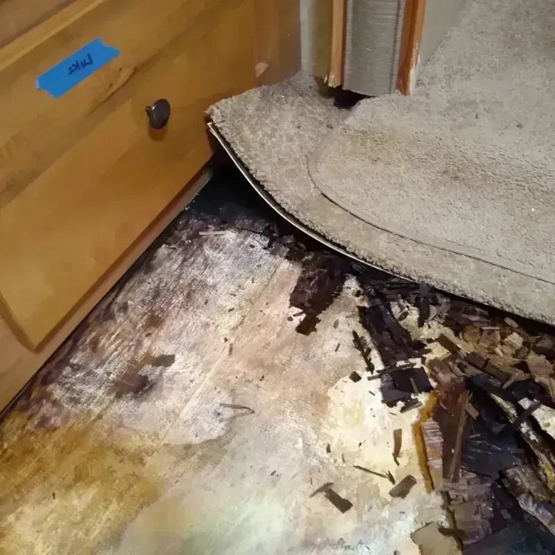 Wood Floor Water Damage in Chenoweth, OR